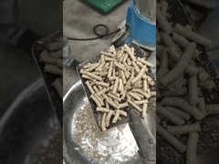 Flach Biomasse 800kg/H 1000kg/H Sägemehl Pelletpresse